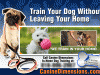 In-Home Dog Training Service