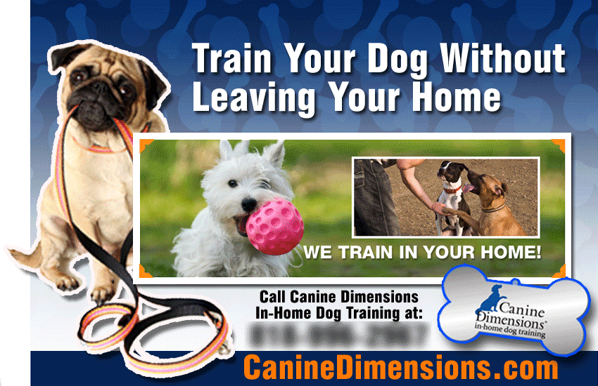 In-Home Dog Training Service